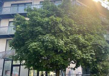Wohnung Hürth Hermülheim - 1 Zimmer, 32 m&sup2;, 600&euro; | Angebot:27223663