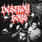 Destroy Boys