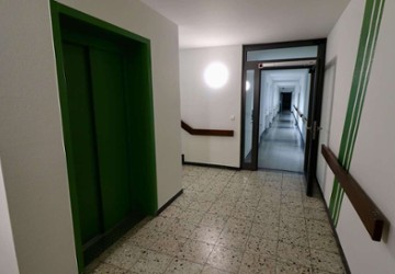 Wohnung Solingen Wald - 1 Zimmer, 41 m&sup2;, 246&euro; | Angebot:27189634